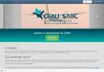 référence site multilingue avec newsletters